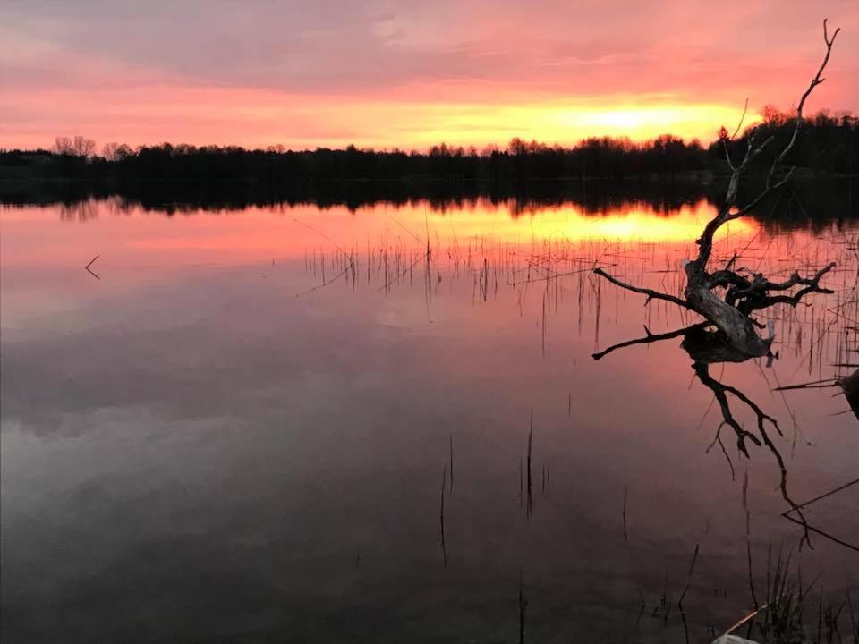 Agroturystyka Na Skarpie Wizajny Exterior foto